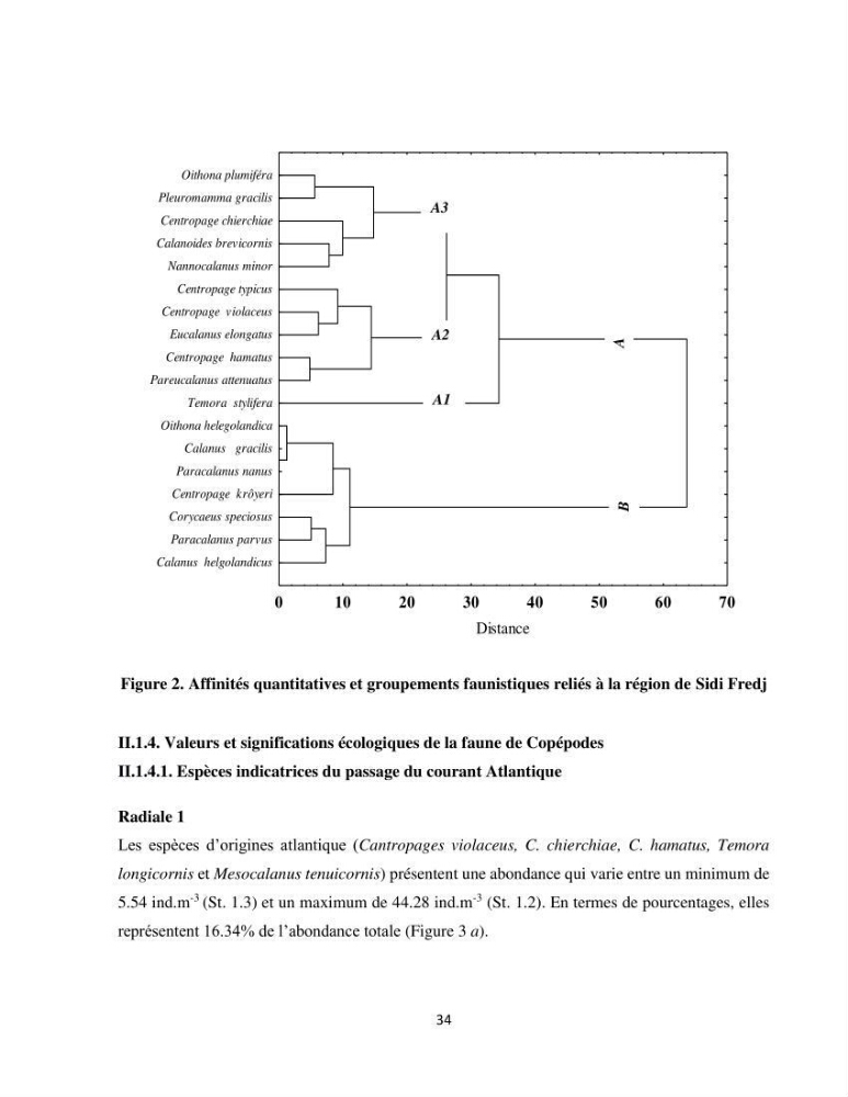 Peuplements zooplanctoniques et ichtyologiques (Clupéidae, Engraulidae) de la côte algéroise : interactions, flux de matières et conséquences sur les stocks halieutiques