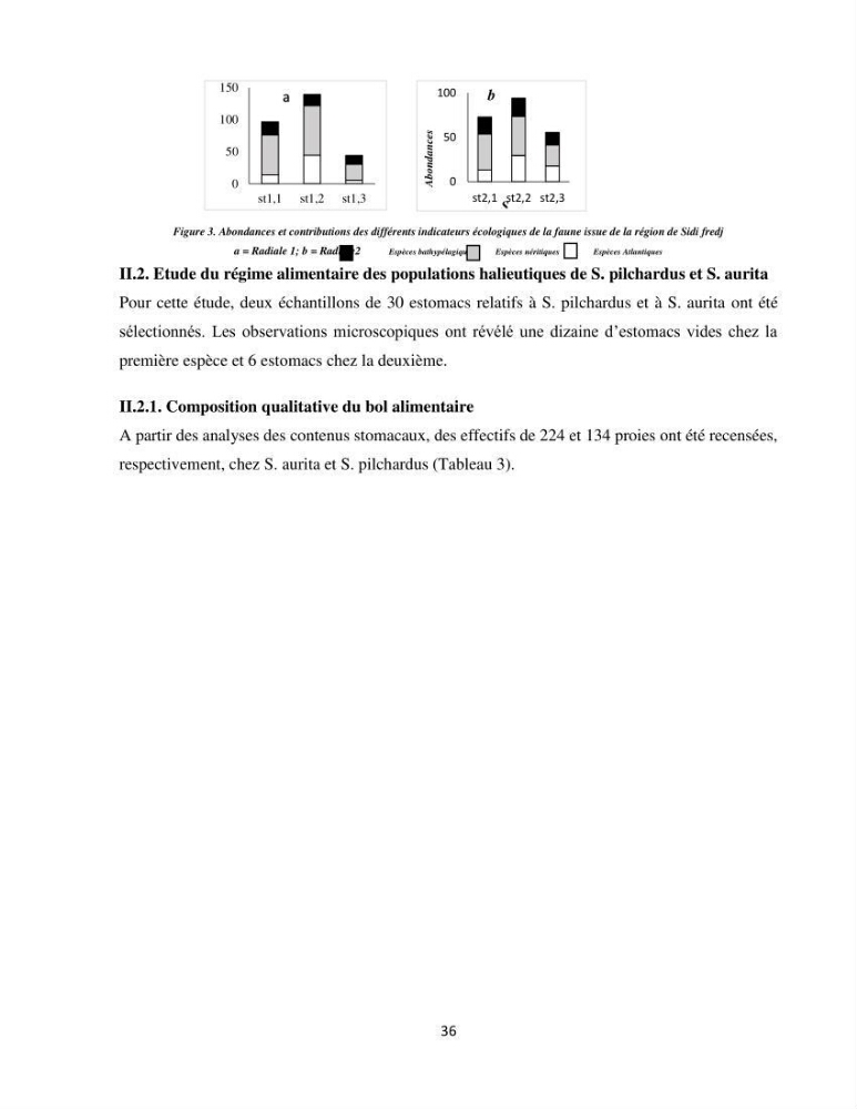 Peuplements zooplanctoniques et ichtyologiques (Clupéidae, Engraulidae) de la côte algéroise : interactions, flux de matières et conséquences sur les stocks halieutiques