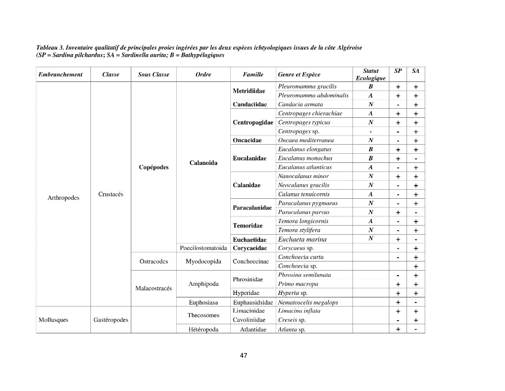 Peuplements zooplanctoniques et ichtyologiques (Clupéidae, Engraulidae) de la côte algéroise : interactions, flux de matières et conséquences sur les stocks halieutiques
