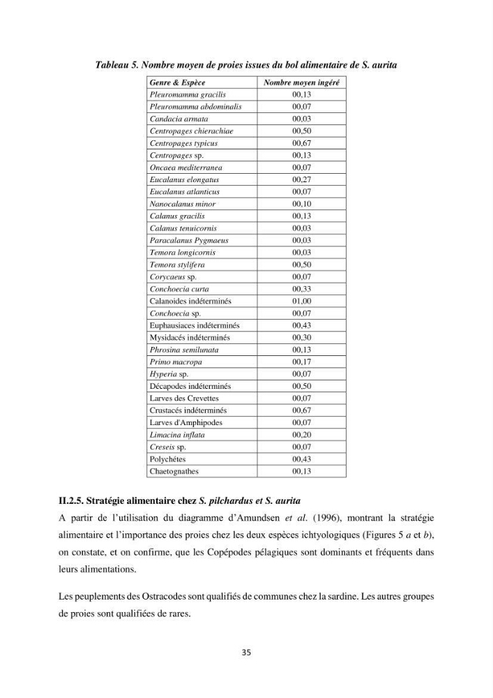 Peuplements zooplanctoniques et ichtyologiques (Clupéidae, Engraulidae) de la côte algéroise : interactions, flux de matières et conséquences sur les stocks halieutiques