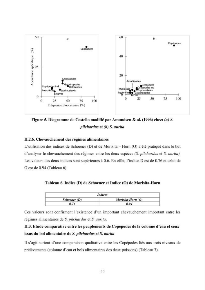 Peuplements zooplanctoniques et ichtyologiques (Clupéidae, Engraulidae) de la côte algéroise : interactions, flux de matières et conséquences sur les stocks halieutiques
