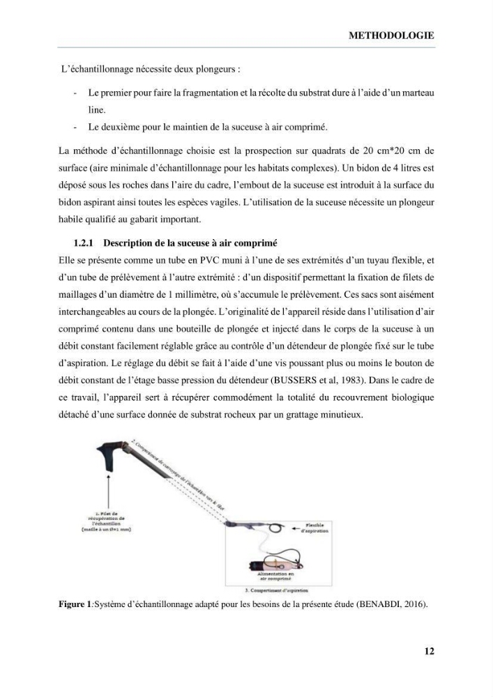 Inventaire des crustacés des milieux insulaires de l’Ouest Algérien