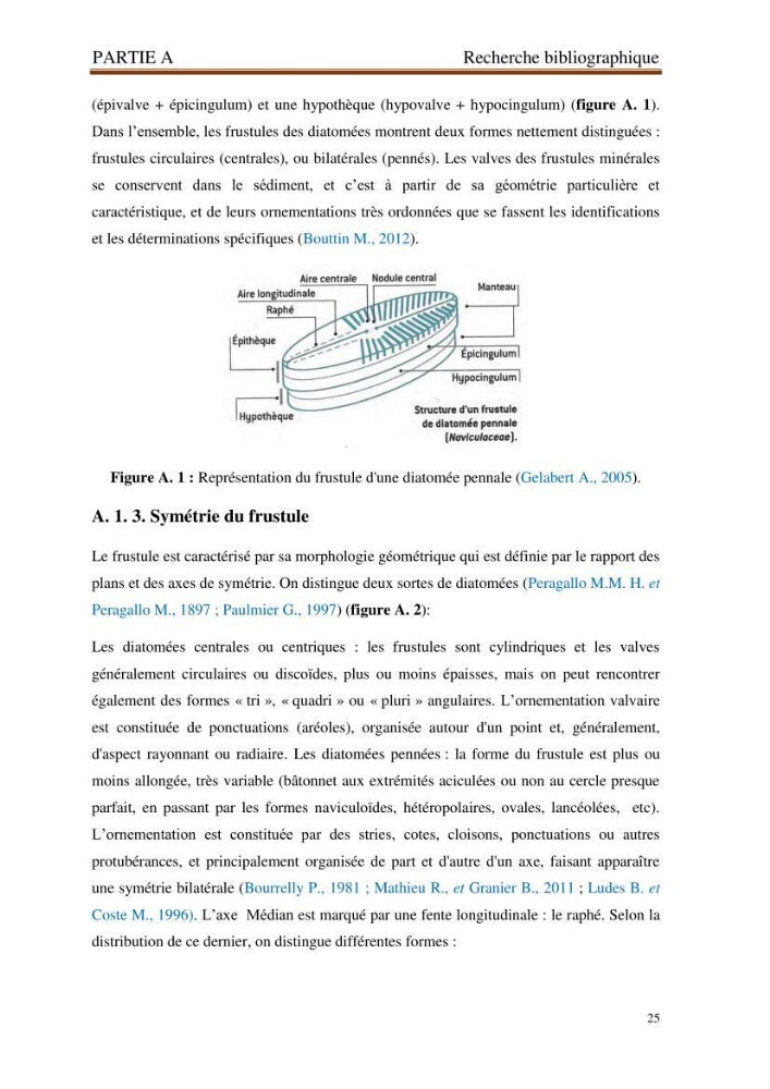 Identification, caractérisation et applications des diatomées fossiles de la région de Mostaganem: