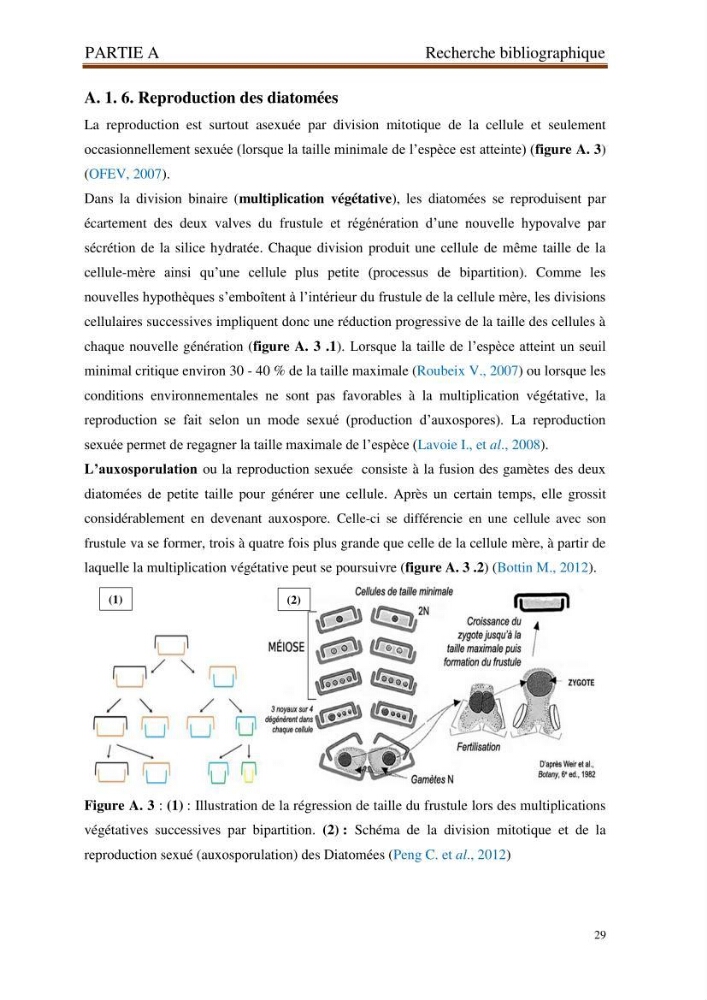Identification, caractérisation et applications des diatomées fossiles de la région de Mostaganem:
