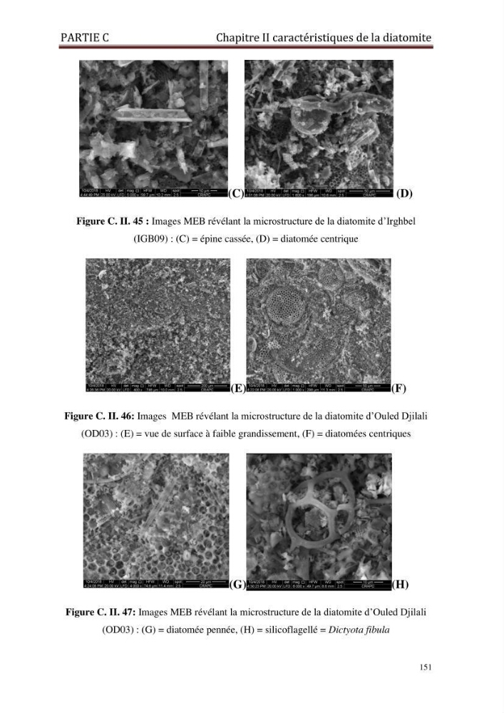 Identification, caractérisation et applications des diatomées fossiles de la région de Mostaganem: