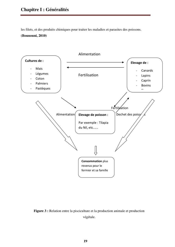 La contribution de l\'intégration de la pisciculture à l\'agriculture durable et responsable: