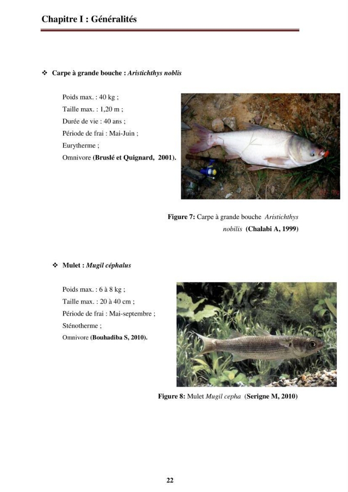La contribution de l\'intégration de la pisciculture à l\'agriculture durable et responsable: