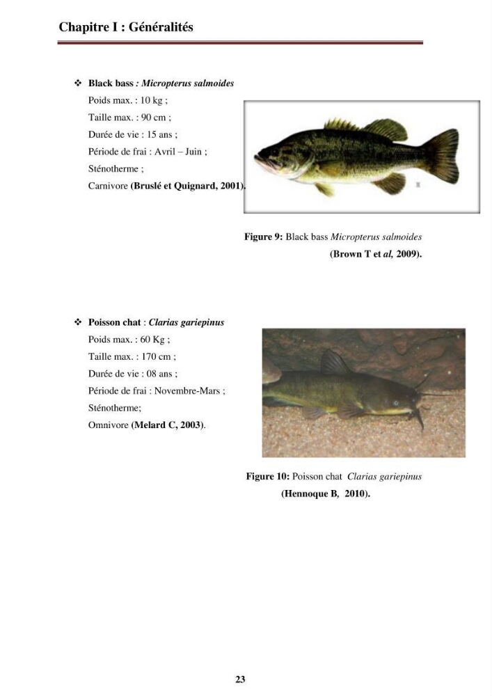 La contribution de l\'intégration de la pisciculture à l\'agriculture durable et responsable: