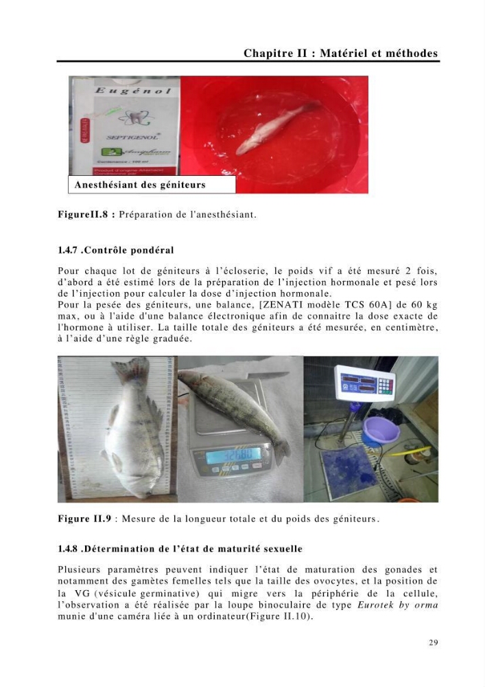 Maîtrise et suivi de la reproduction de quelques espèces de poissons d’eau douce