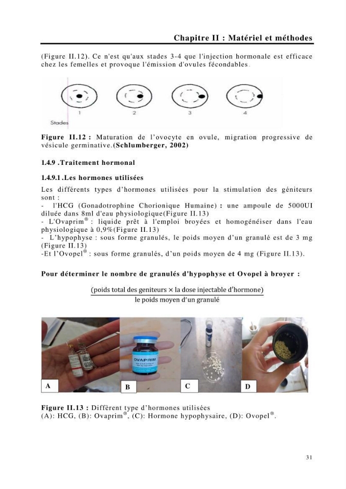Maîtrise et suivi de la reproduction de quelques espèces de poissons d’eau douce