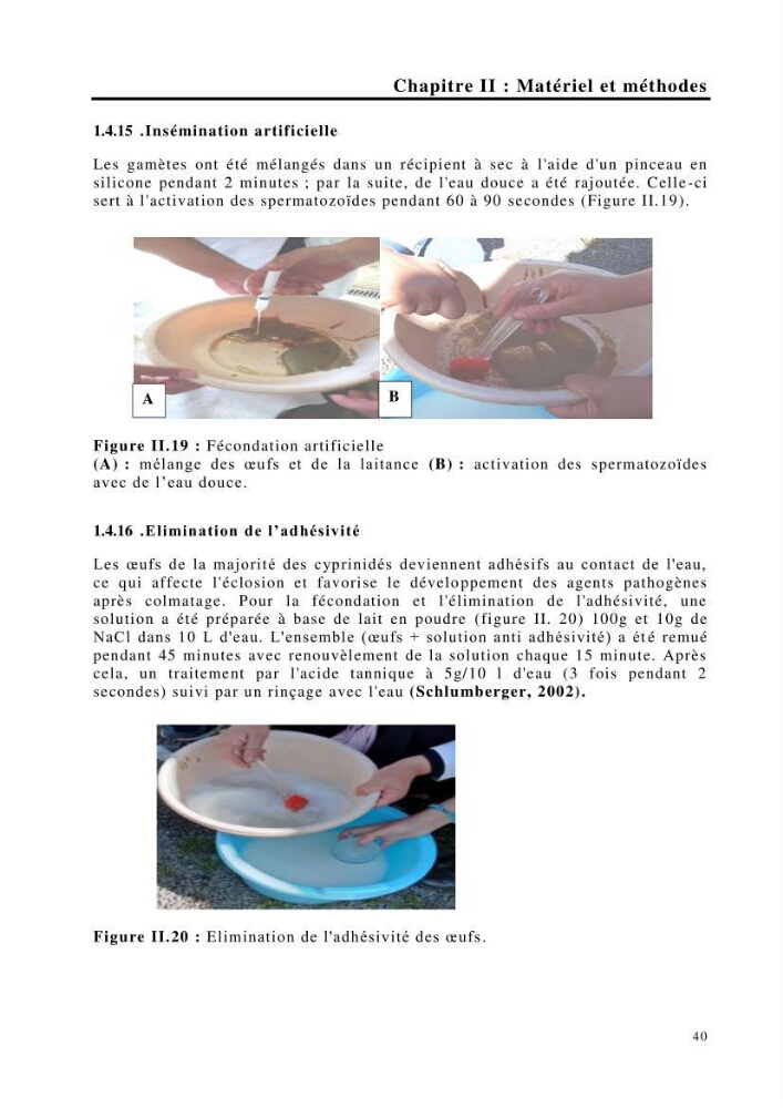Maîtrise et suivi de la reproduction de quelques espèces de poissons d’eau douce