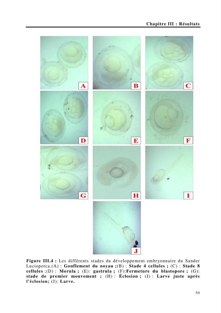 Maîtrise et suivi de la reproduction de quelques espèces de poissons d’eau douce