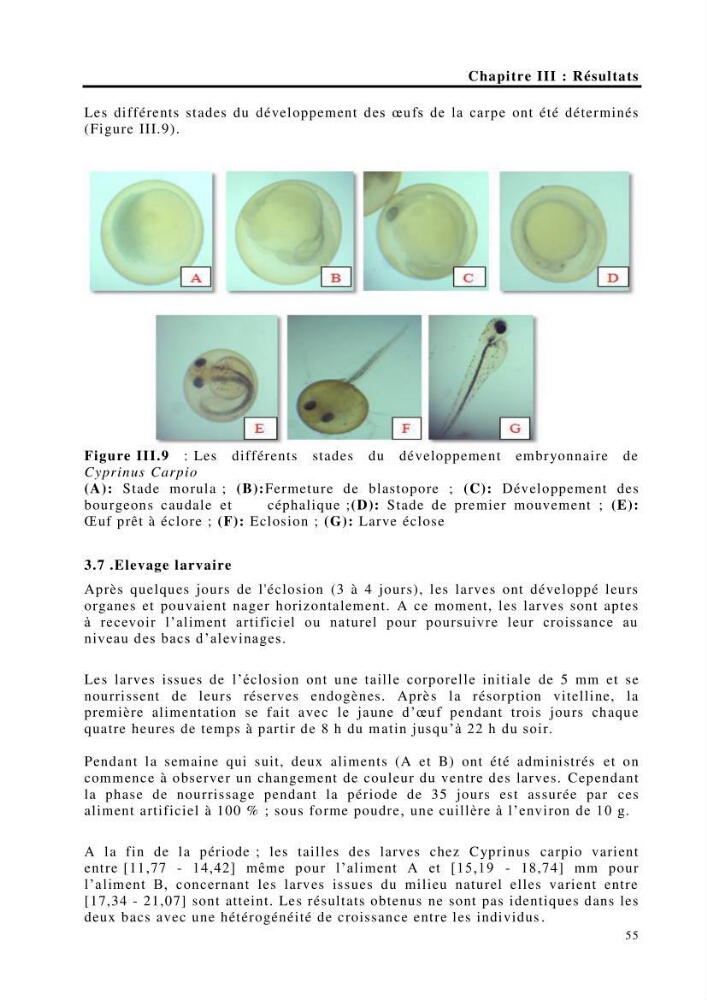 Maîtrise et suivi de la reproduction de quelques espèces de poissons d’eau douce