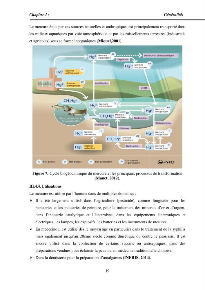 Estimation de la teneur en mercure, métaux lourds et qualitémicrobiologique de quelques espèces de poissons dans la région Algéroise, effets potentiels santé-environnement.