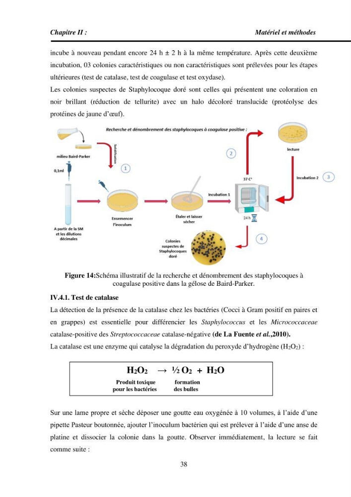 Estimation de la teneur en mercure, métaux lourds et qualitémicrobiologique de quelques espèces de poissons dans la région Algéroise, effets potentiels santé-environnement.