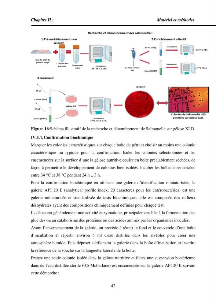 Estimation de la teneur en mercure, métaux lourds et qualitémicrobiologique de quelques espèces de poissons dans la région Algéroise, effets potentiels santé-environnement.