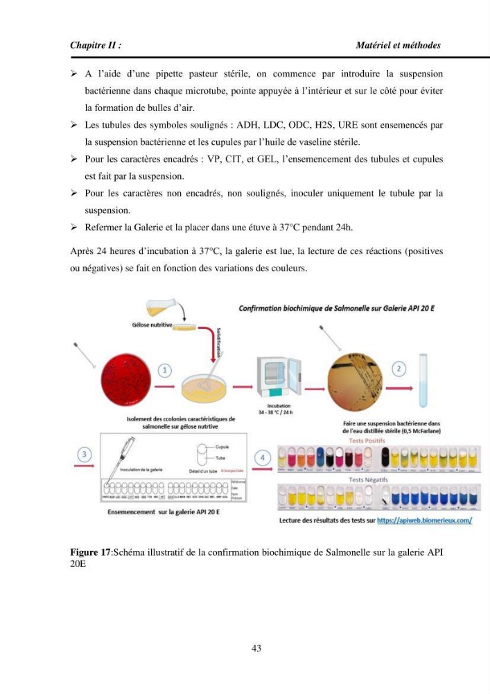 Estimation de la teneur en mercure, métaux lourds et qualitémicrobiologique de quelques espèces de poissons dans la région Algéroise, effets potentiels santé-environnement.