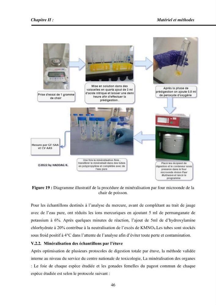 Estimation de la teneur en mercure, métaux lourds et qualitémicrobiologique de quelques espèces de poissons dans la région Algéroise, effets potentiels santé-environnement.