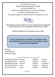 Evaluation des microplastiques dans les sédiments et les eaux de surface de la baie de Zemmouri