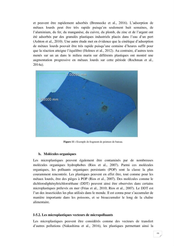 Evaluation des microplastiques dans les sédiments et les eaux de surface de la baie de Zemmouri
