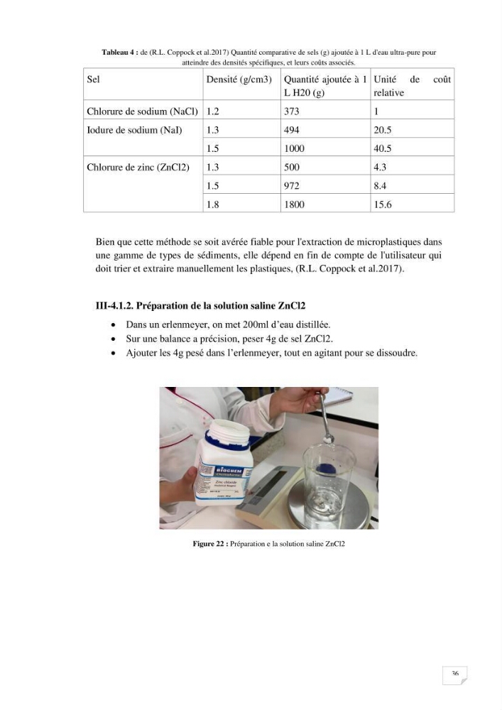 Evaluation des microplastiques dans les sédiments et les eaux de surface de la baie de Zemmouri