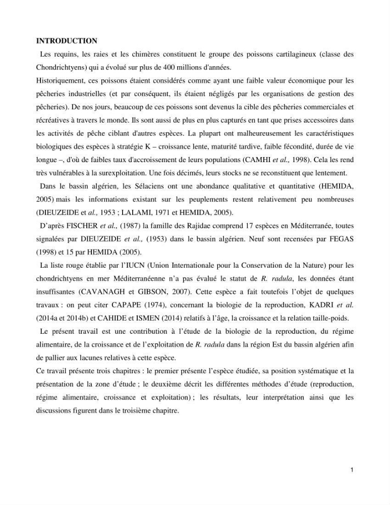 Contribution à l’étude de la biologie, de la croissance et de l’exploitation de Raja radula (Elasmobranches, Rajidae) dans la région Est du bassin algérien