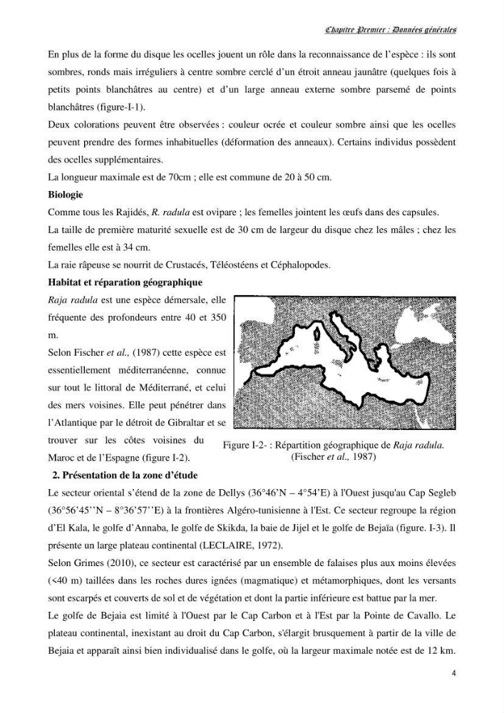 Contribution à l’étude de la biologie, de la croissance et de l’exploitation de Raja radula (Elasmobranches, Rajidae) dans la région Est du bassin algérien