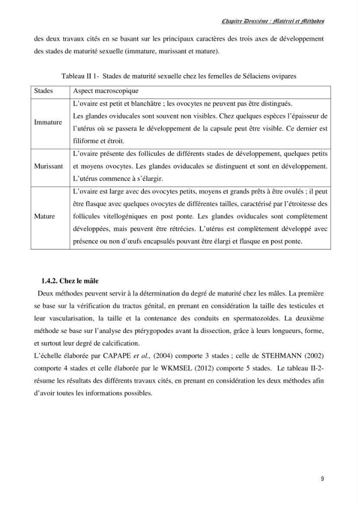 Contribution à l’étude de la biologie, de la croissance et de l’exploitation de Raja radula (Elasmobranches, Rajidae) dans la région Est du bassin algérien