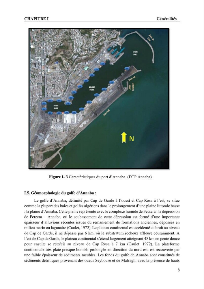 Caractérisation de l’agitation et l’ensablement des ports et proposition de solutions de protection cas du port d’Annaba