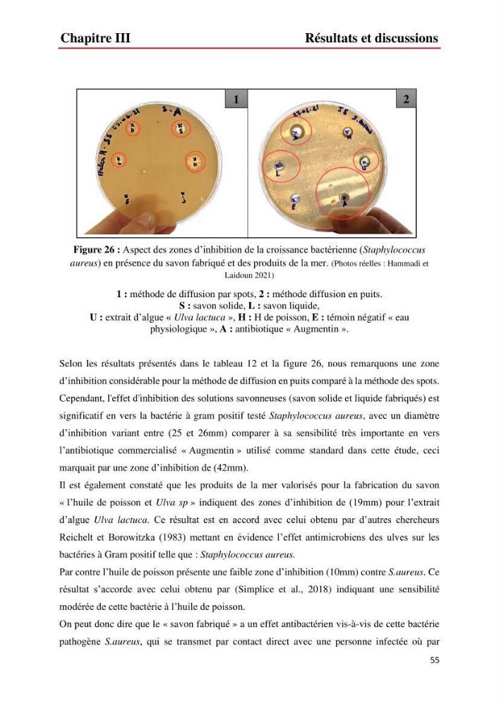 Valorisation des produits de la mer pour la fabriction de savon: Aspects techniqueset économiques