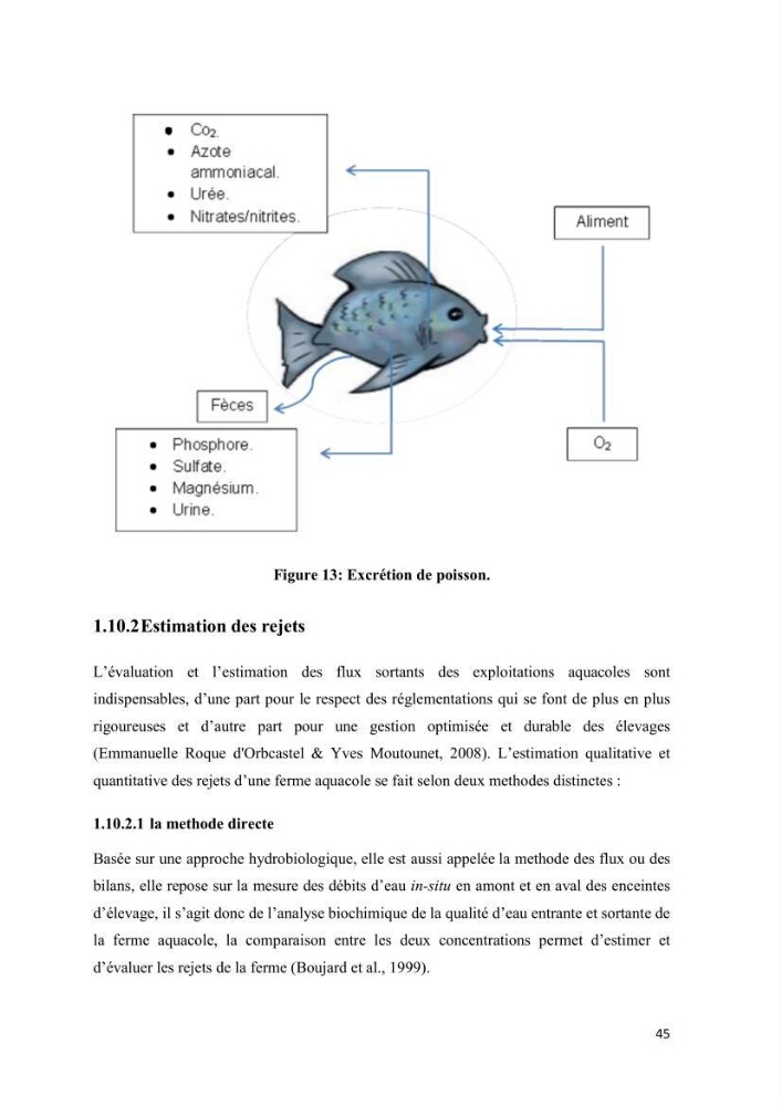 Modélisation des phénomènes de transport en ingénierie aquacole