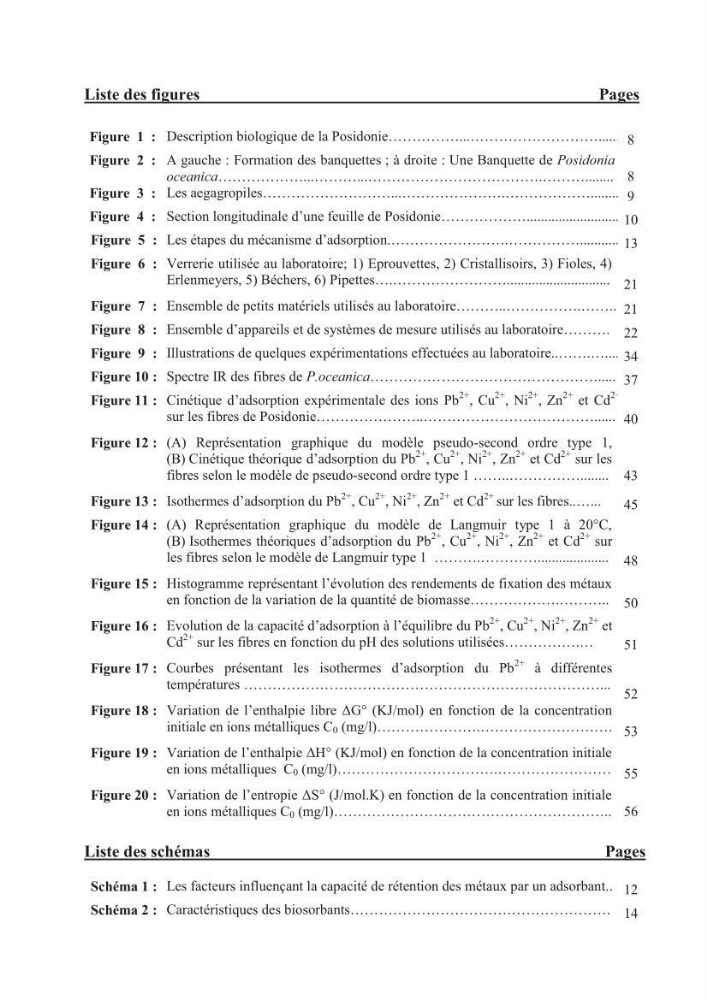 Etude de la valorisation d\'une biomasse marine, posidonia oceanica, en tant que biosorbant des ions métalliques Pb ²+, Cu ²+, Ni ²+, Zn ²+ et Cd ²+