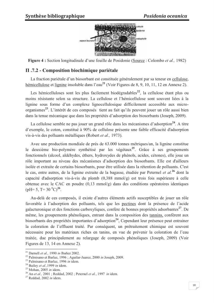 Etude de la valorisation d\'une biomasse marine, posidonia oceanica, en tant que biosorbant des ions métalliques Pb ²+, Cu ²+, Ni ²+, Zn ²+ et Cd ²+