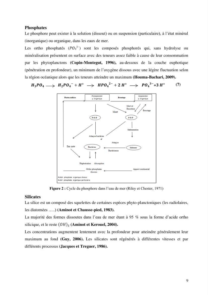 Les conditions physico chimiques au large des côtes algériennes: contribution à l’étude des structures hydrodynamiques