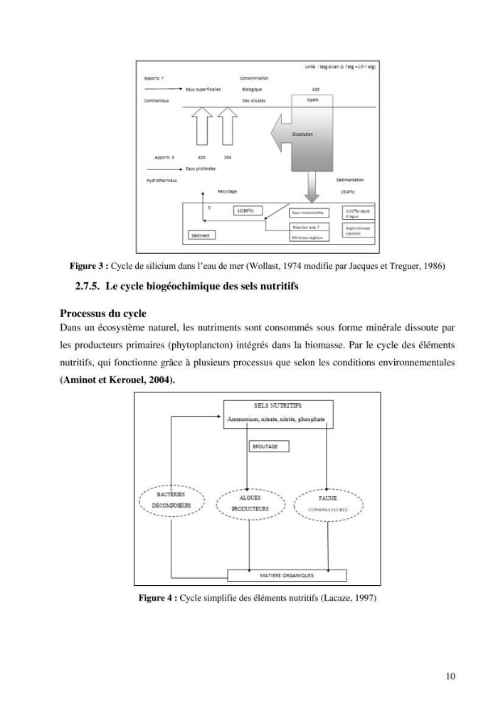 Les conditions physico chimiques au large des côtes algériennes: contribution à l’étude des structures hydrodynamiques