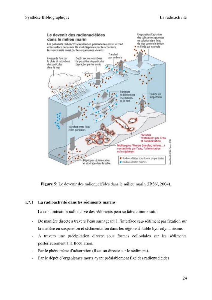 Etude de la qualité radiologique et chimique des sédiments de l’embouchure de l’Oued Chéliff (W.de Mostaganem)