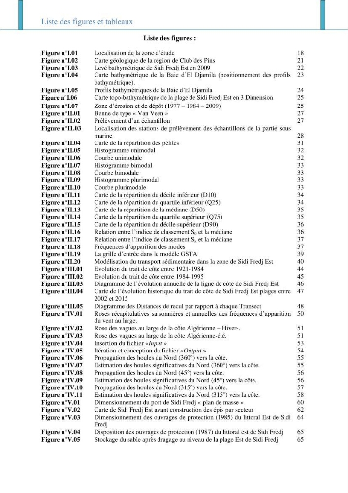 Impact des infrastructures littorales sur l\'évolution du trait de côte dans dans une zone soumise à un fort transit sédimentaire