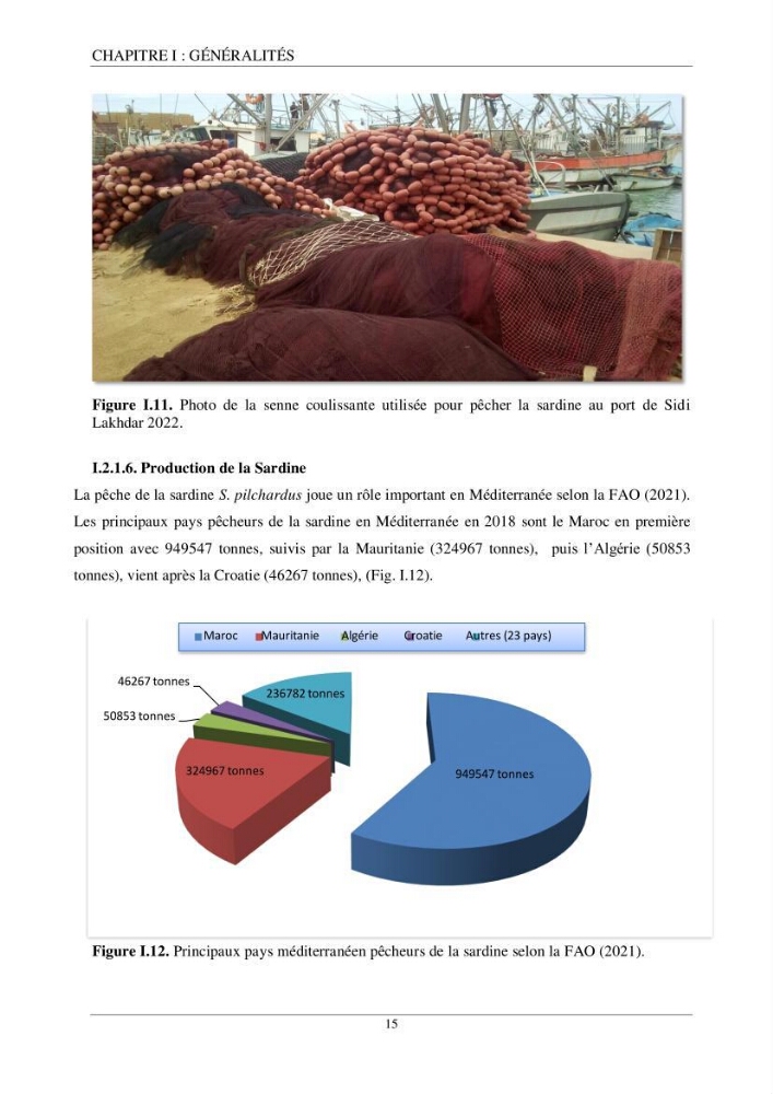 Etude d\'impact de la reconversion d\'éspadonniers en senneurs sur les éspèces cibles notament: l\'éspadon Xiphias gladius (Linnaeus,1758) et la sardine Sardina pilchardus ( Walbaum,1792 ) dans la baie de Mostaganem