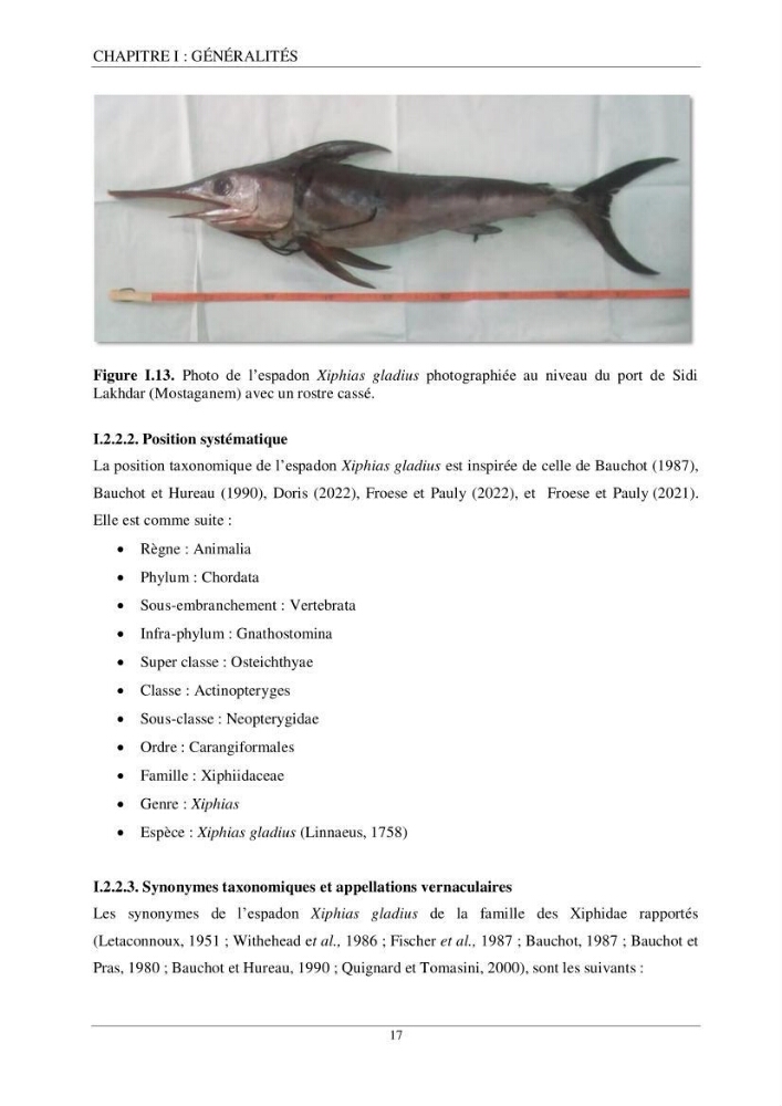 Etude d\'impact de la reconversion d\'éspadonniers en senneurs sur les éspèces cibles notament: l\'éspadon Xiphias gladius (Linnaeus,1758) et la sardine Sardina pilchardus ( Walbaum,1792 ) dans la baie de Mostaganem