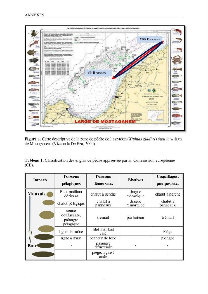Etude d\'impact de la reconversion d\'éspadonniers en senneurs sur les éspèces cibles notament: l\'éspadon Xiphias gladius (Linnaeus,1758) et la sardine Sardina pilchardus ( Walbaum,1792 ) dans la baie de Mostaganem