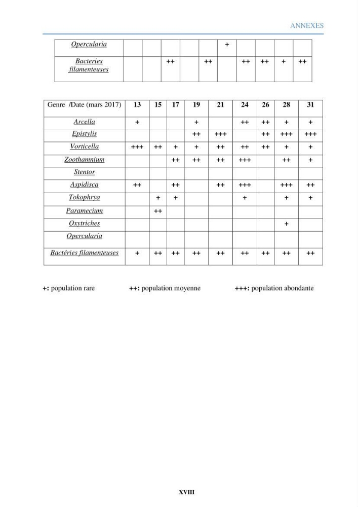 Etude des performances d\'une station d\'épuration des eaux usées