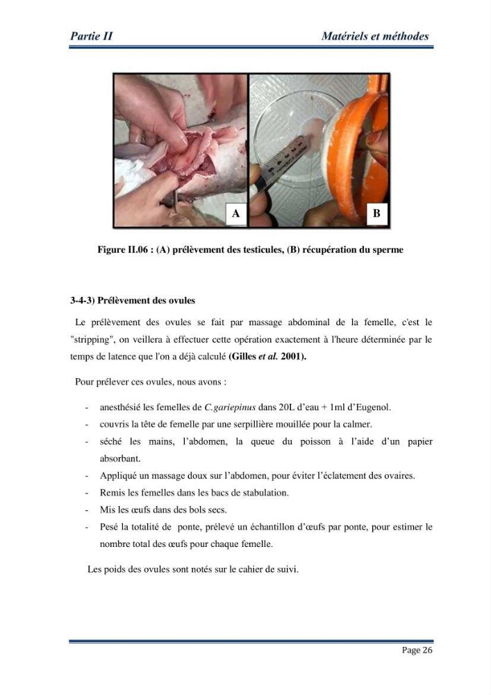 Maitrise de la reproduction artificielle et étude comparative de la croissance du poisson-chat africain Clarias gariepinus (Bruchell,1822 ) selon trois formules d\'aliments