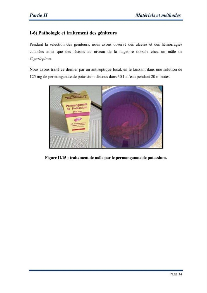 Maitrise de la reproduction artificielle et étude comparative de la croissance du poisson-chat africain Clarias gariepinus (Bruchell,1822 ) selon trois formules d\'aliments