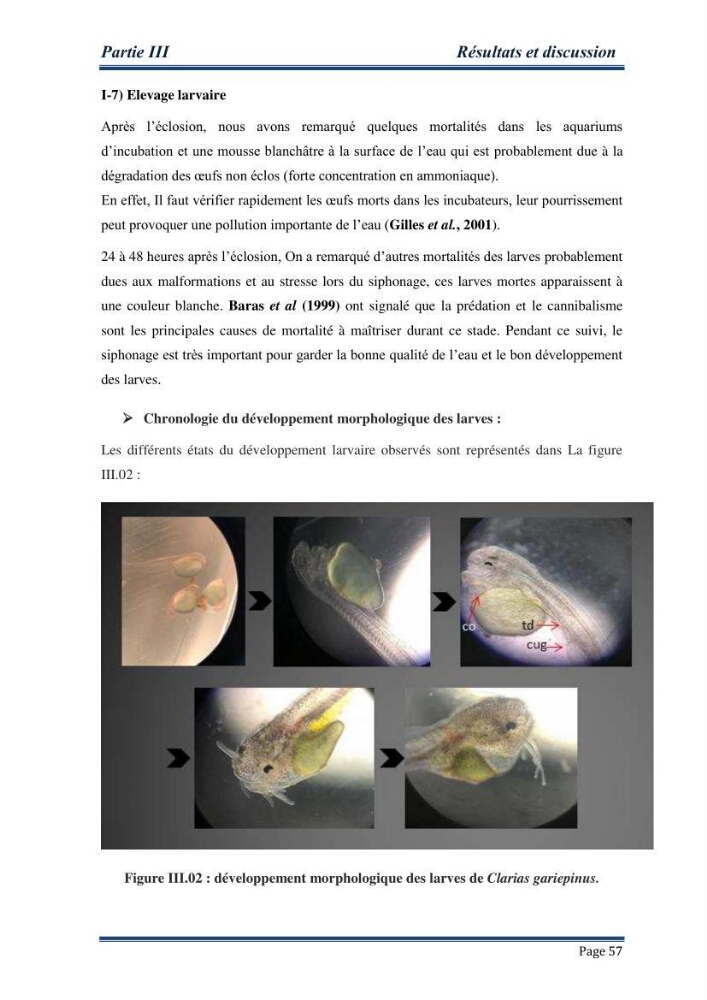 Maitrise de la reproduction artificielle et étude comparative de la croissance du poisson-chat africain Clarias gariepinus (Bruchell,1822 ) selon trois formules d\'aliments
