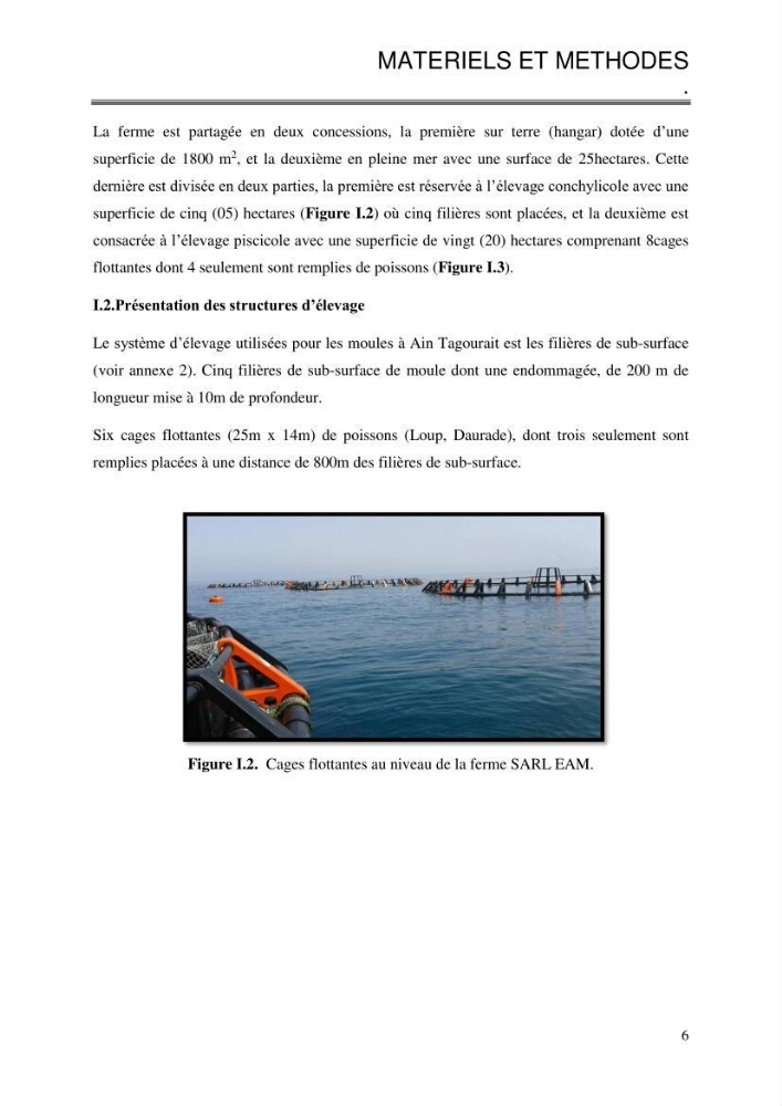 Etude de la croissance de Mytilus galloprovincialis (Lamarrck,1819) à Ain tagourait, Tipaza: