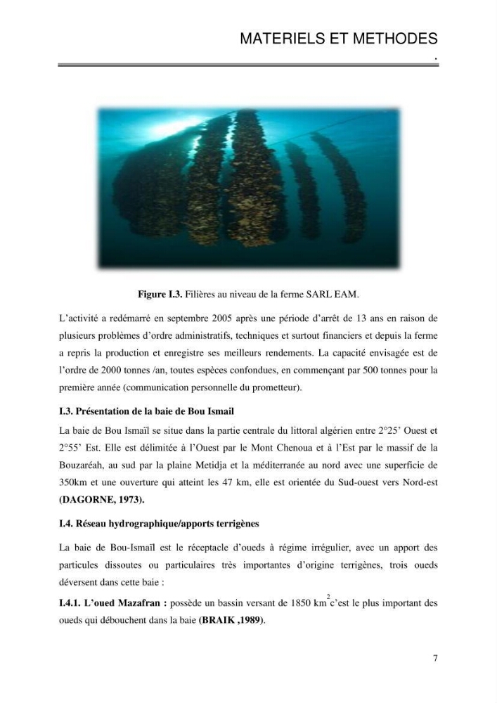 Etude de la croissance de Mytilus galloprovincialis (Lamarrck,1819) à Ain tagourait, Tipaza: