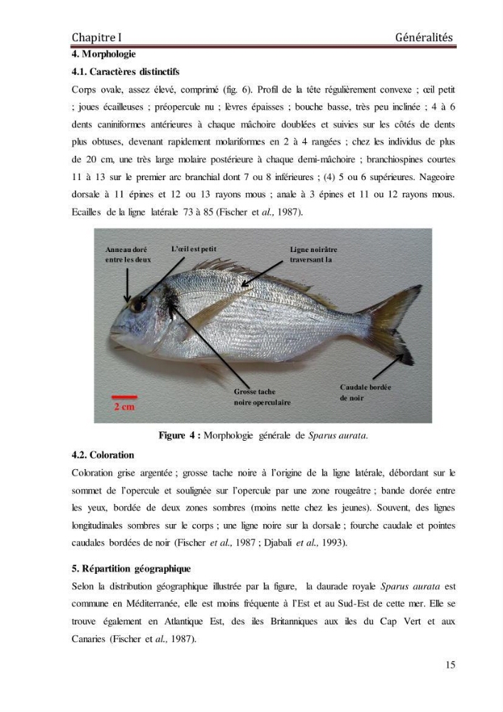 Contribution à l\'étude de la fécondité et des indices de reproduction de la daurade royale ( Sparus aurata Linnée,1758) de la région de Skikda: