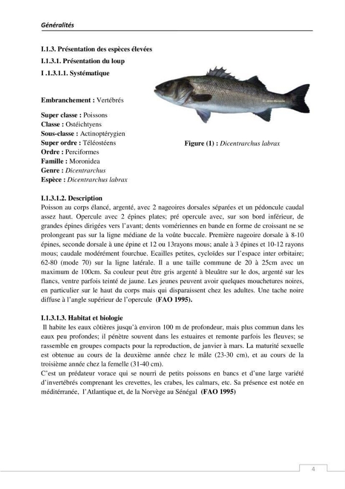L\'évaluation de la résistance aux antibiotiques chez les bactéries à Gram négatif isolées au niveau de la ferme piscicole marine ONDPA Cap Djinet wilaya de Boumerdes: