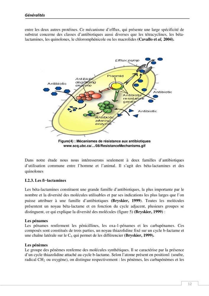 L\'évaluation de la résistance aux antibiotiques chez les bactéries à Gram négatif isolées au niveau de la ferme piscicole marine ONDPA Cap Djinet wilaya de Boumerdes: