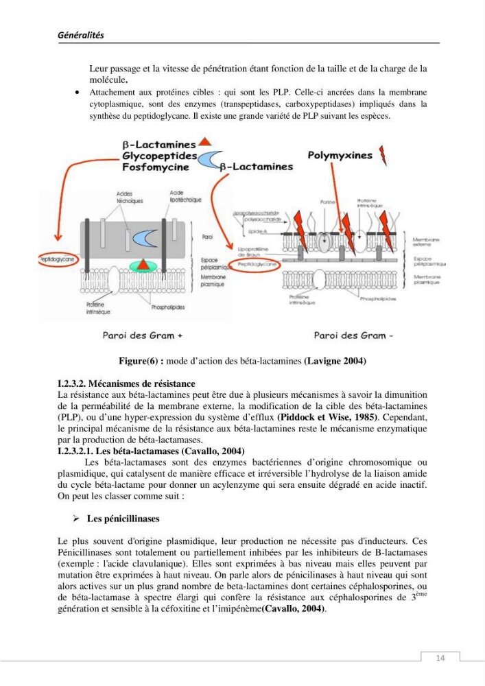 L\'évaluation de la résistance aux antibiotiques chez les bactéries à Gram négatif isolées au niveau de la ferme piscicole marine ONDPA Cap Djinet wilaya de Boumerdes: